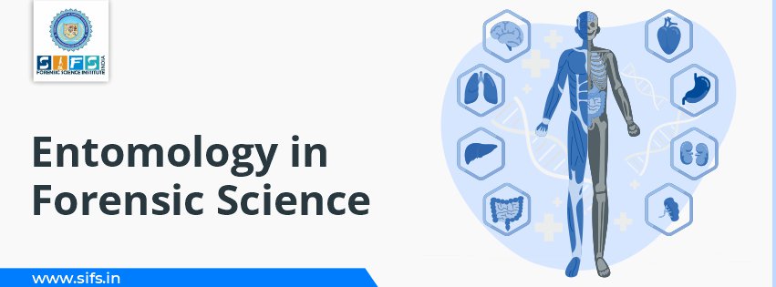 Entomology in Forensic Science: Insect Evidence Usage