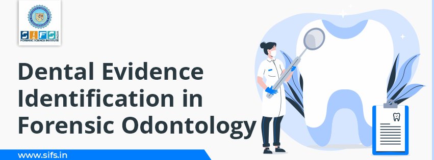 Dental Evidence Identification in Forensic Odontology