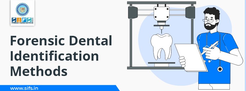 Forensic Dental Identification Methods