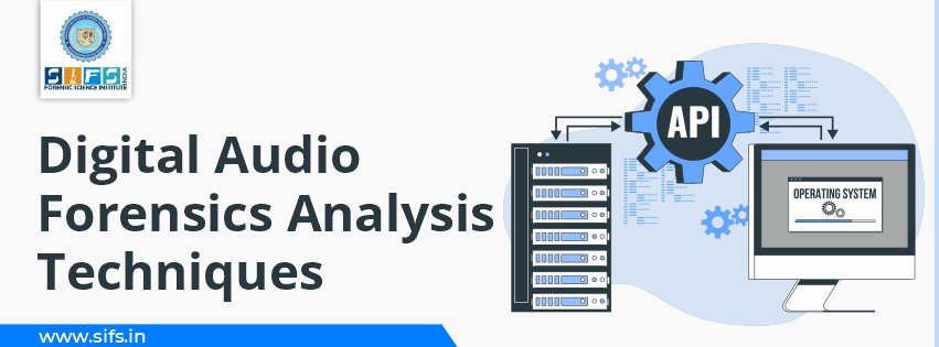 Digital Audio Forensics Analysis Techniques