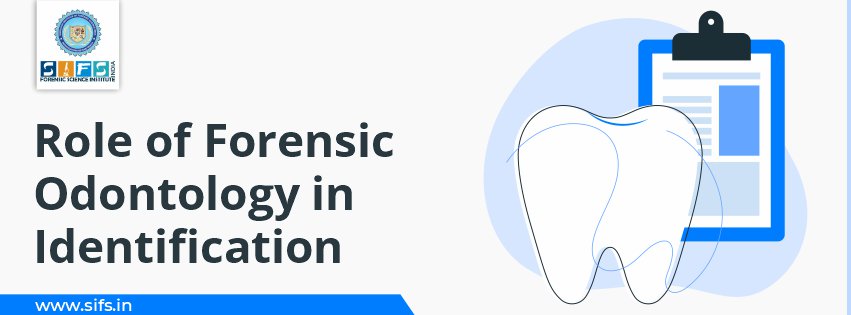Role of Forensic Odontology in Identification