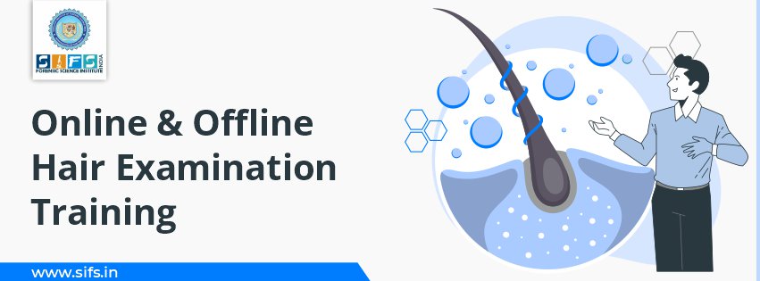 Online and Offline Hair Examination Training