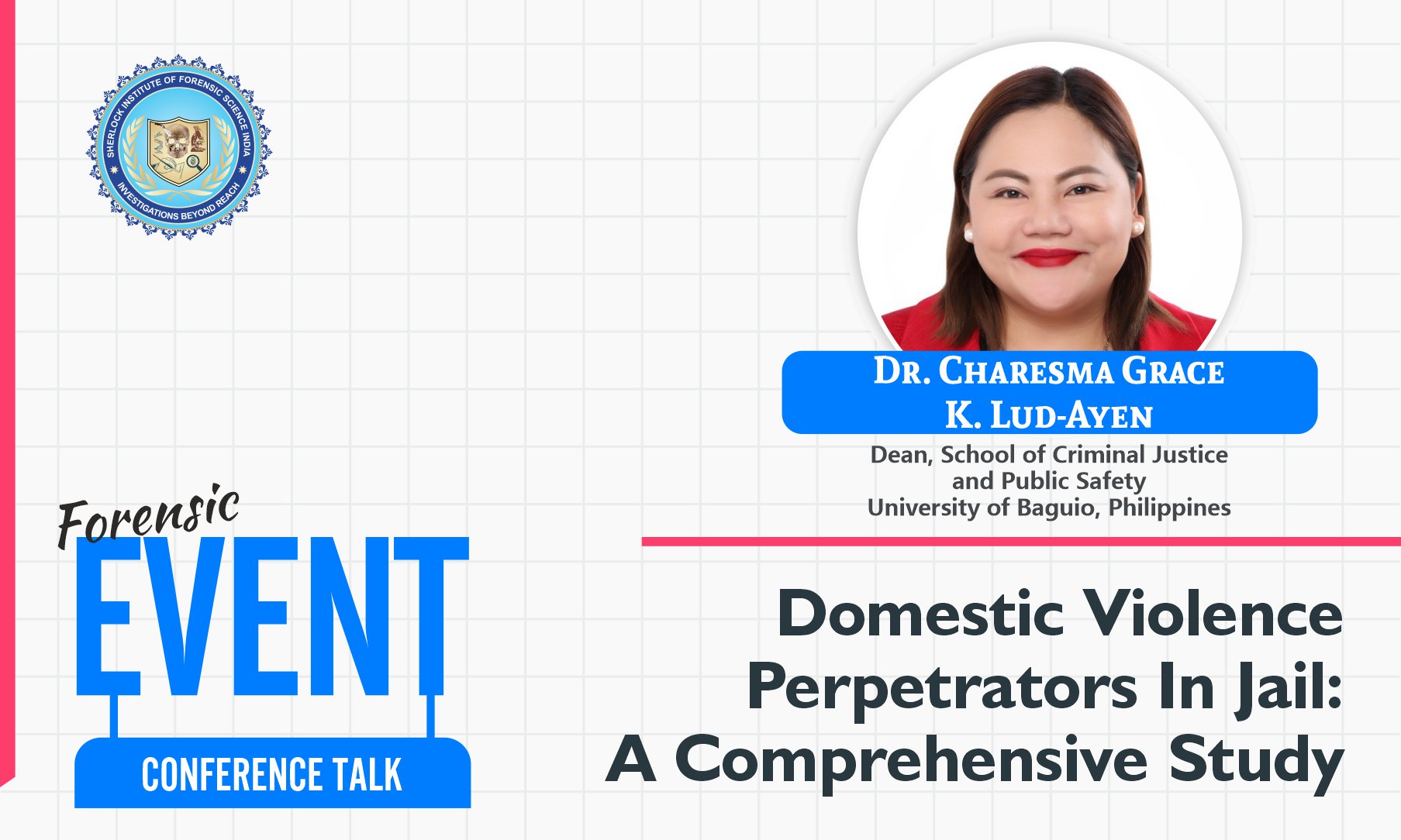 Demographic Dynamics and Implications: Understanding Domestic Violence Perpetrators Through Key Informant Analysis